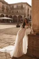 DION